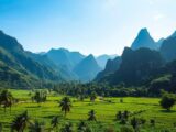 Viñales-Tal: Entdecken Sie das traumhafte Tal auf Kuba